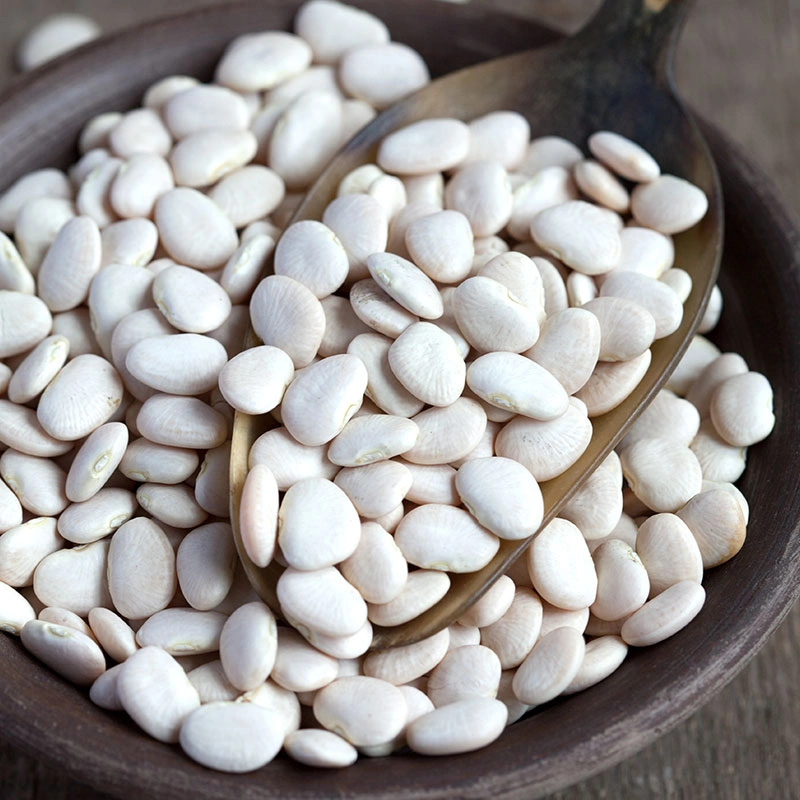 لوبیا سفید محلی کرمانشاه (800گرم)