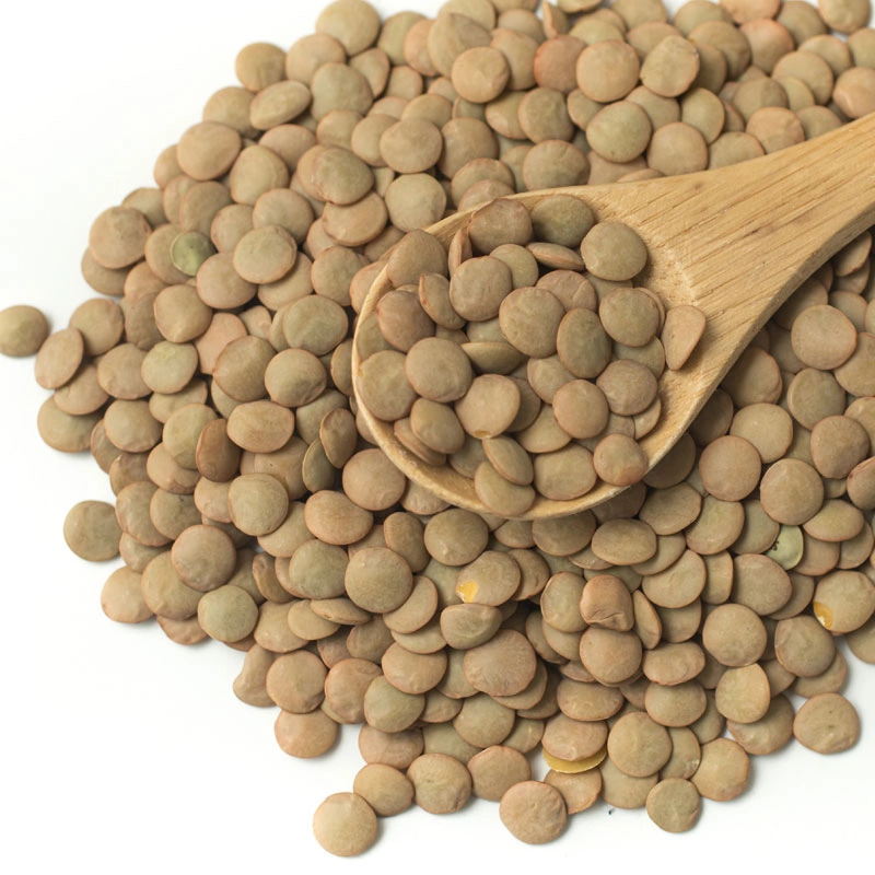 عدس ریز محلی اردبیل (800گرم)