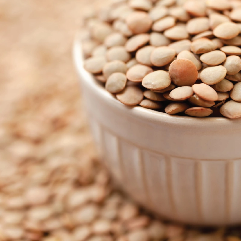 عدس درشت اردبیل (2 کیلوگرم)